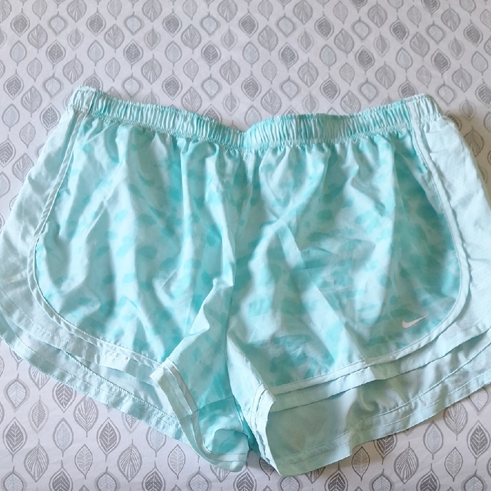 Nike Dri-Fit shorts 2x
